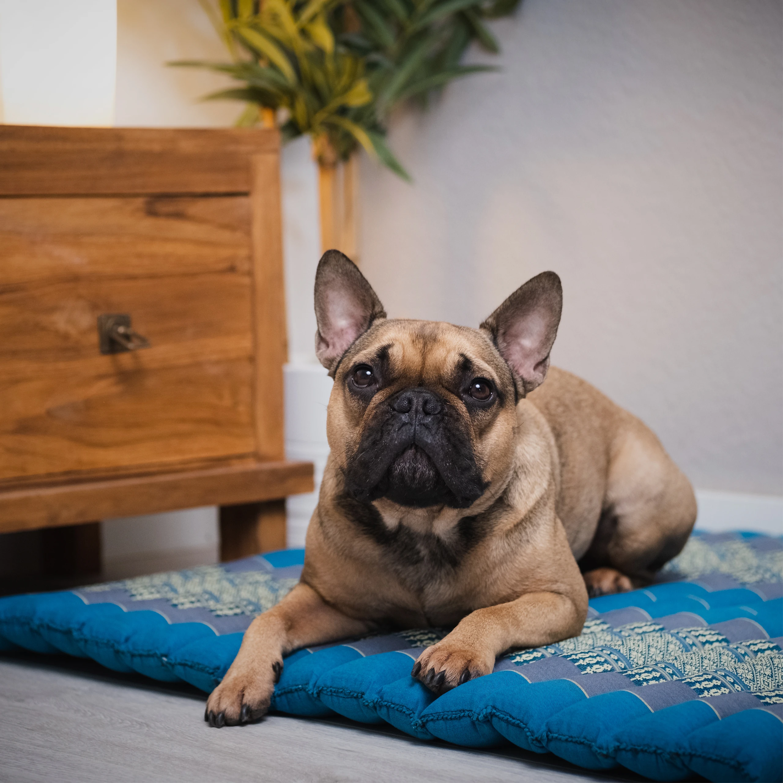 Kapok doorgestikt kussen 75 cm